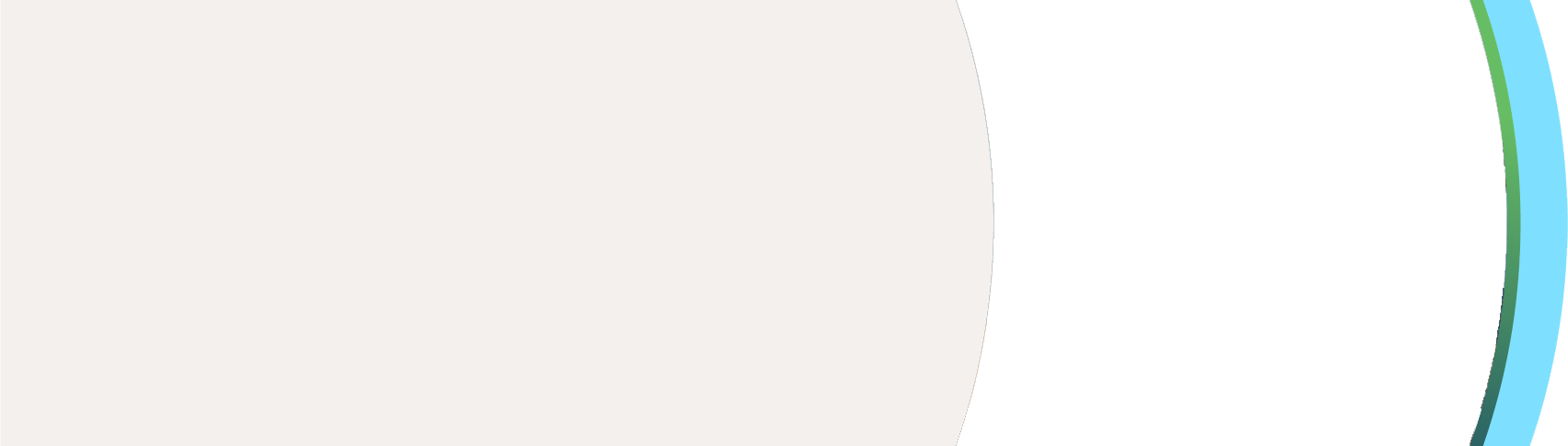 Search Icon